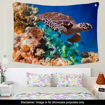 Hawksbill Turtle - Eretmochelys Imbricata Wall Art 67120595