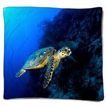 Hawksbill Turtle In Deep Blue, Red Sea, Egypt. Blankets 49932907