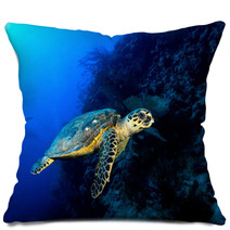 Hawksbill Turtle In Deep Blue, Red Sea, Egypt. Pillows 49932907