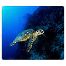 Hawksbill Turtle In Deep Blue, Red Sea, Egypt. Rugs 49932907