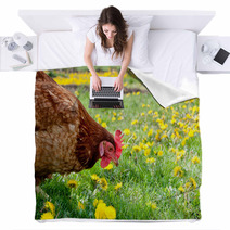 Hen In The Meadow Blankets 40793465