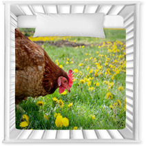 Hen In The Meadow Nursery Decor 40793465