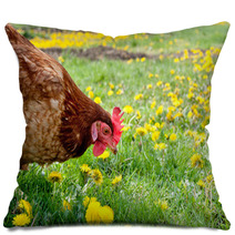 Hen In The Meadow Pillows 40793465