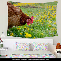 Hen In The Meadow Wall Art 40793465