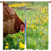 Hen In The Meadow Window Curtains 40793465