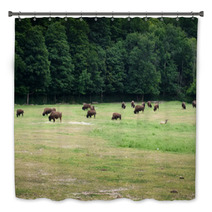 Herd Of Bison Grazing In Forest Bath Decor 65506716