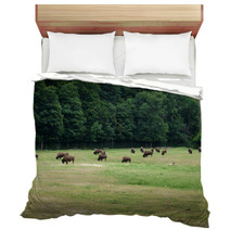 Herd Of Bison Grazing In Forest Bedding 65506716