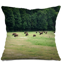 Herd Of Bison Grazing In Forest Pillows 65506716