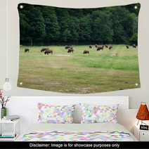 Herd Of Bison Grazing In Forest Wall Art 65506716