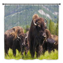 Herd of Bison On Grassy Landscape Bath Decor 57263916