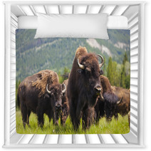 Herd of Bison On Grassy Landscape Nursery Decor 57263916
