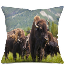 Herd of Bison On Grassy Landscape Pillows 57263916