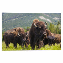 Herd of Bison On Grassy Landscape Rugs 57263916
