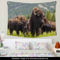 Herd of Bison On Grassy Landscape Wall Art 57263916