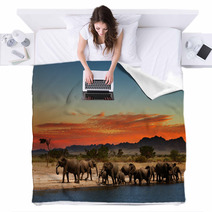 Herd Of Elephants In African Savanna Blankets 20708665
