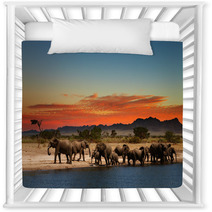 Herd Of Elephants In African Savanna Nursery Decor 20708665