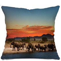 Herd Of Elephants In African Savanna Pillows 20708665