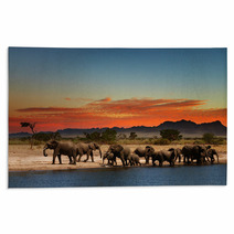 Herd Of Elephants In African Savanna Rugs 20708665