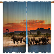 Herd Of Elephants In African Savanna Window Curtains 20708665