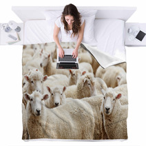 Herd Of Sheep Blankets 12172246