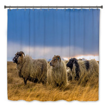 Herd Of Sheep In A Field Bath Decor 73208814