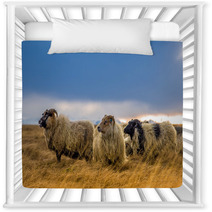 Herd Of Sheep In A Field Nursery Decor 73208814