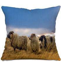 Herd Of Sheep In A Field Pillows 73208814
