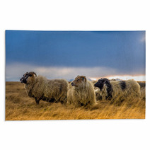 Herd Of Sheep In A Field Rugs 73208814