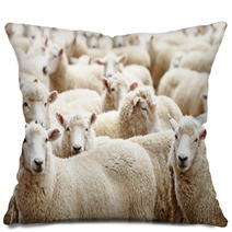 Herd Of Sheep Pillows 12172246