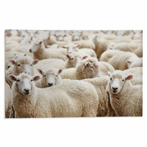 Herd Of Sheep Rugs 12172246