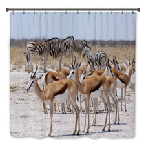 Herd Of Springbok And Zebra In Etosha Bath Decor 86248804
