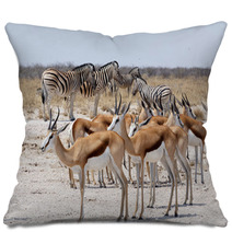 Herd Of Springbok And Zebra In Etosha Pillows 86248804