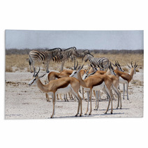 Herd Of Springbok And Zebra In Etosha Rugs 86248804