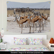 Herd Of Springbok And Zebra In Etosha Wall Art 86248804