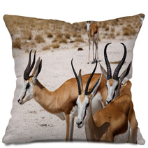 Herd Of Springbok In Etosha Pillows 98465967