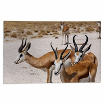 Herd Of Springbok In Etosha Rugs 98465967