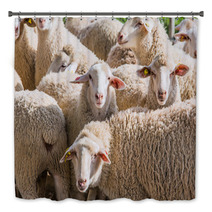 Herd Of White Sheep Bath Decor 80032342