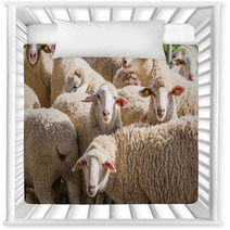 Herd Of White Sheep Nursery Decor 80032342