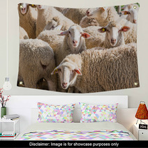 Herd Of White Sheep Wall Art 80032342