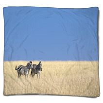 Herd Of Zebras Blankets 60941149