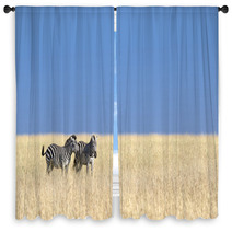 Herd Of Zebras Window Curtains 60941149