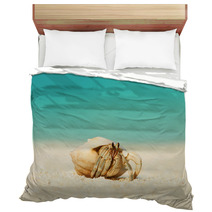 Hermit Crab At Beach Bedding 79354342