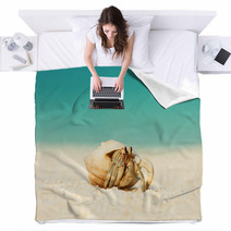 Hermit Crab At Beach Blankets 79354342