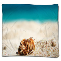 Hermit Crab At Beach Blankets 84297848