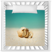 Hermit Crab At Beach Nursery Decor 79354342