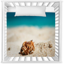 Hermit Crab At Beach Nursery Decor 84297848
