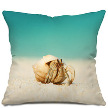 Hermit Crab At Beach Pillows 79354342