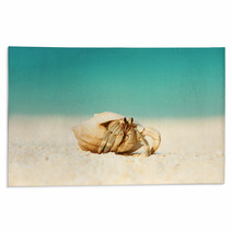 Hermit Crab At Beach Rugs 79354342