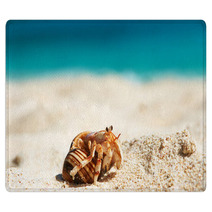 Hermit Crab At Beach Rugs 84297848
