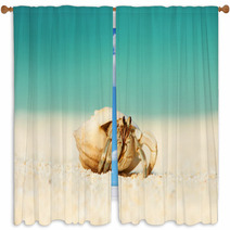 Hermit Crab At Beach Window Curtains 79354342
